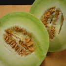 Honey Dew Cantaloupe Melon 25+ ct, Vegetables for Gardening