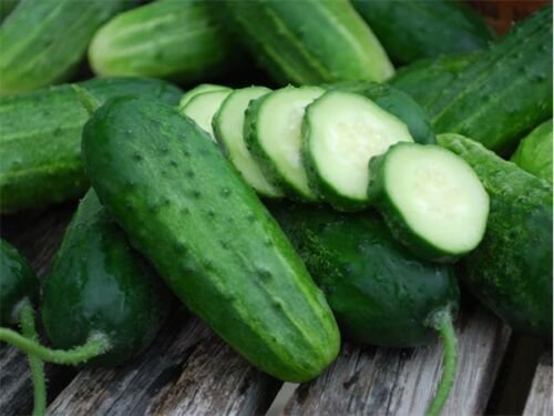Boston Pickling Cucumbers 25+ ct, Vegetables for Gardening