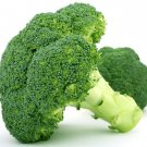 Emerald Crown Broccoli 50+ ct, Vegetables for Gardening
