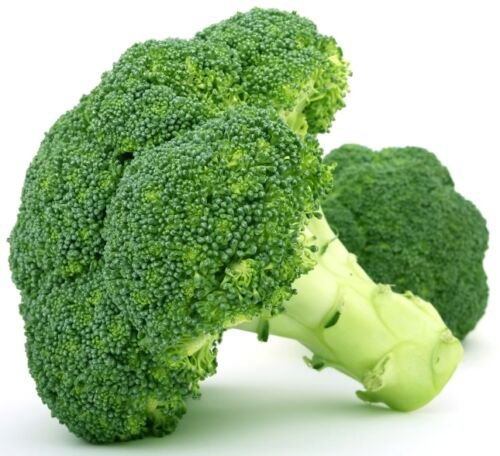 Emerald Crown Broccoli 100+ ct, Vegetables for Gardening