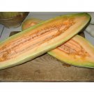 Banana Cantaloupe 40+ ct, Vegetables for Gardening