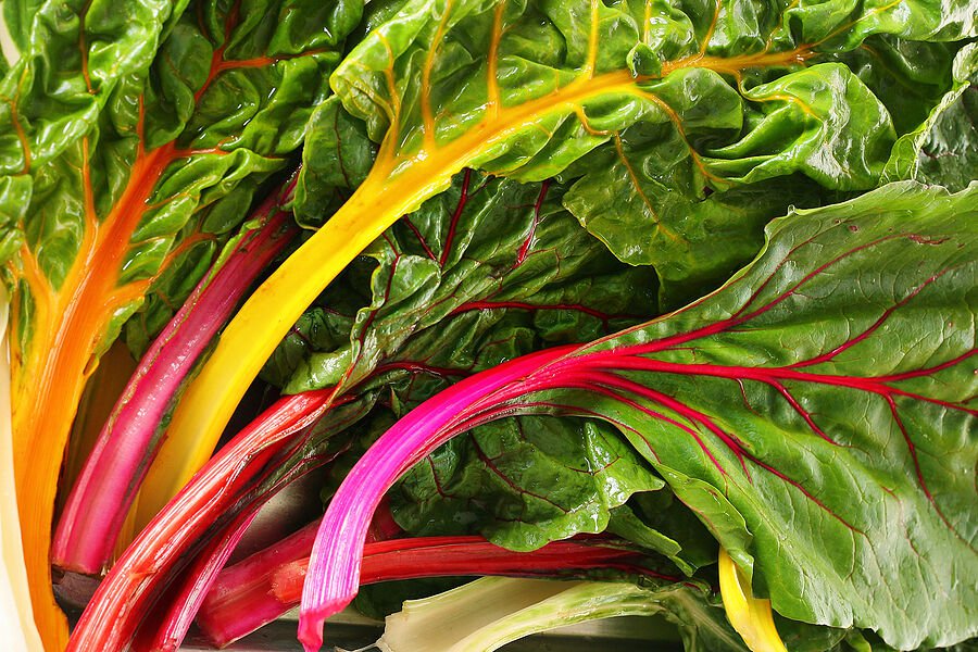 4 Star Swiss Chard 500+ ct, Vegetables for Gardening