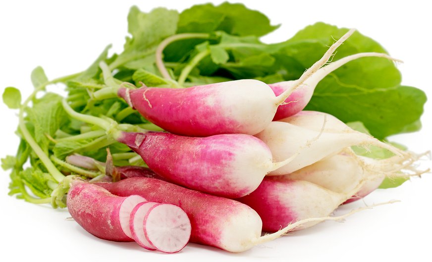 Radish Seeds: French Breakfast Radish Seeds Type : 600+ seed