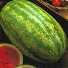 Watermelon Seed: Klondike Blue Ribbon Stripe Watermelon Seeds 25+ seed