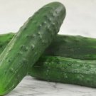 Cucumber Seed: Marketmore 76 Cucumber Seeds Packet Size : 12+ seed