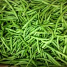 Green Bean Seeds: Kentucky Wonder Bush Green Bean Seeds Climate : 1/2 pound