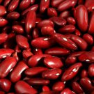 Bean Seeds: Dark Red Kidney Bean Seeds Fresh Seed Climate : 50+ seed