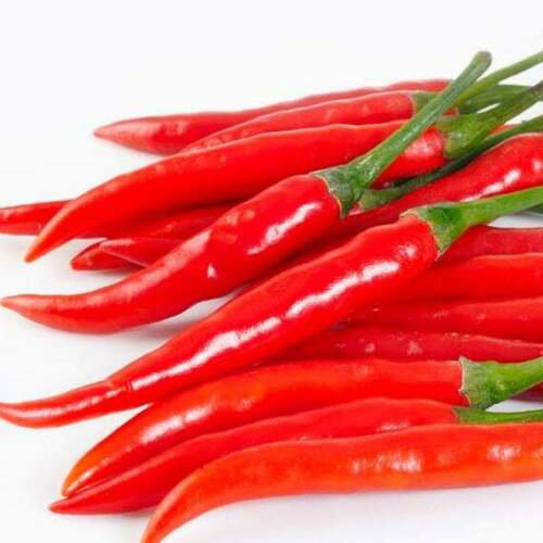 Pepper Seed: Cayenne Long Slim Pepper Seeds Packet Size ; 40+ seed