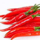 Pepper Seed: Cayenne Long Slim Pepper Seeds Packet Size ; 40+ seed