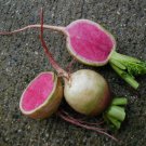 Radish Seed: Watermelon Radish seeds Packet Size: 250+ seed