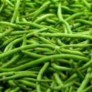Green Bean Seed: Strike Green Bean Seeds Packet Size: 250+ seed