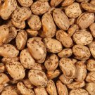 Soup Bean Seed: Pinto Soup Beans Fresh Seed Packet SIze: 50 + seed