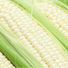 Sweet Corn Seed: Illusion Sweet Corn Seed Quantity : 1/2 pound