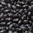 Bean Seed: Black Turtle Soup Beans Fresh Seed Packet Size: 100+ seed