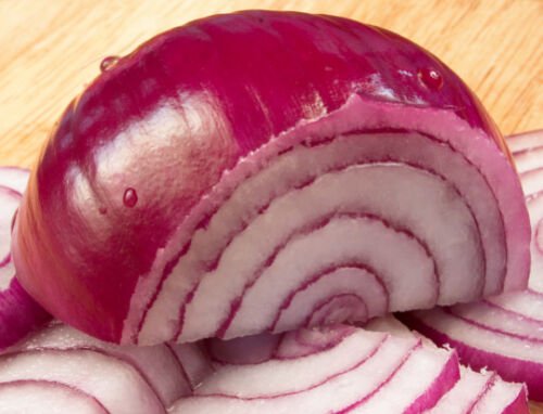 Onion Seed: Red Burgundy Onion Seeds Fresh Seed Packet Size: 250+ seed