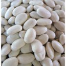 Bean Seed: Navy Bean Seed Soup Beans Fresh Seed Packet Size: 250+ seed