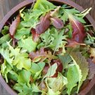1OZ=16,000 GOURMET MESCLUN MIX Seeds  SPROUTS Garden/Patio Container Bulk