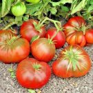 100+ BLACK BRANDYWINE TOMATO Seeds  American Heirloom Garden/Containers