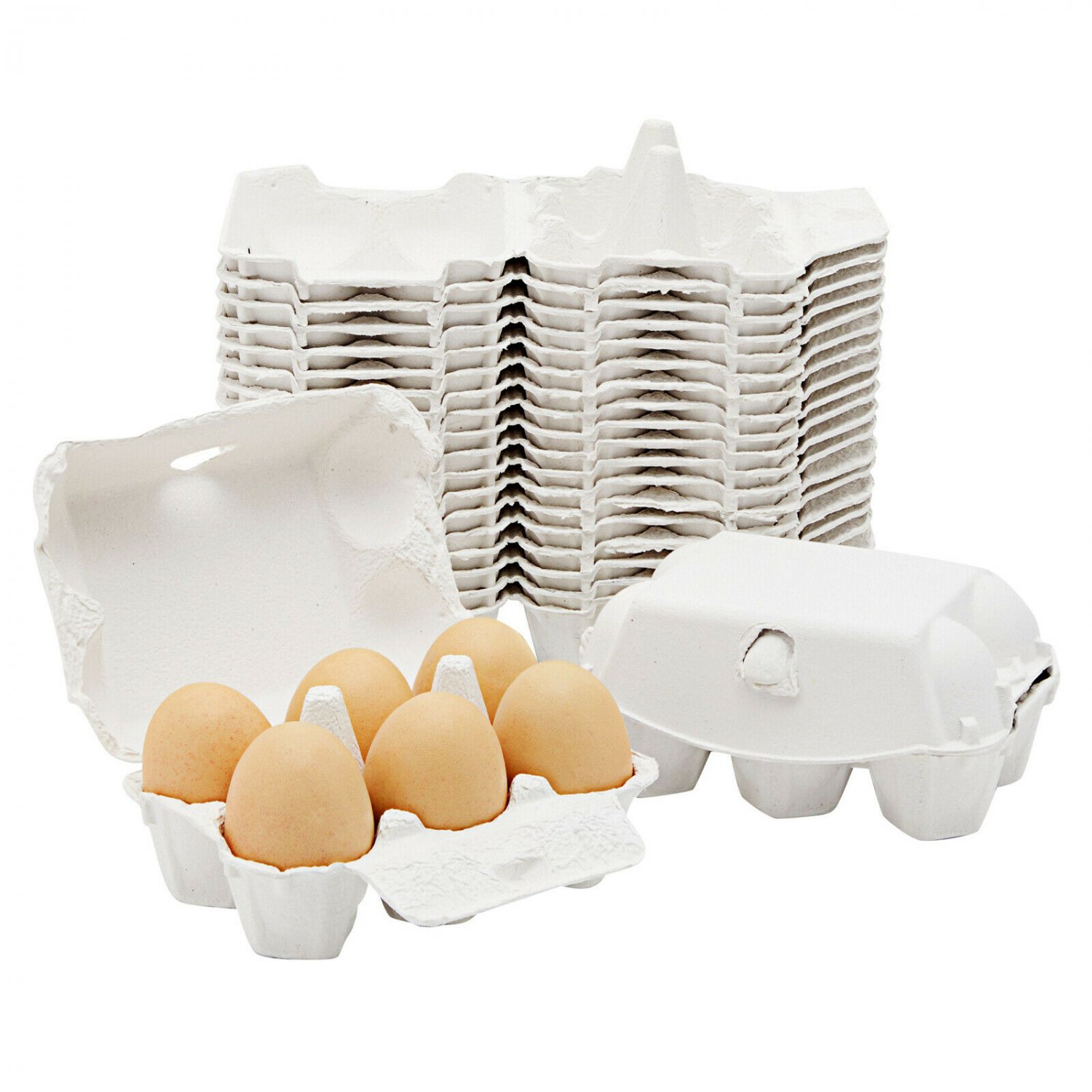 20 Pack Empty Paper Egg Cartons, Holds up to 6 Large Chicken Eggs, 4 in