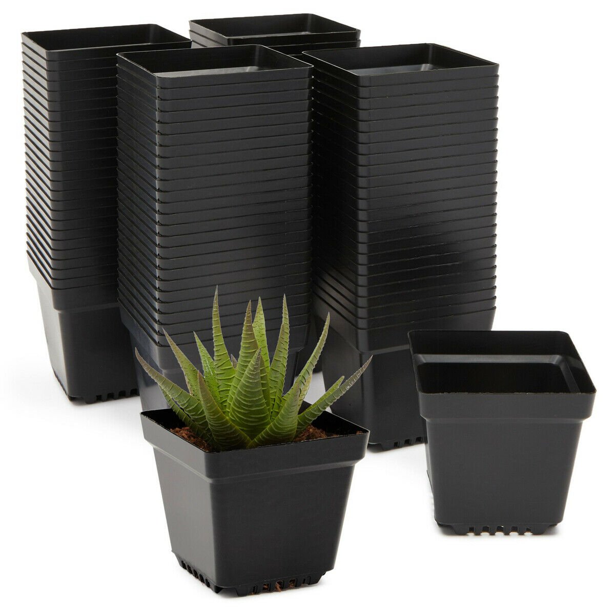 Plastic Nursery Pots, Small Square Seed Starter Planters Bulk Set (3.3 in, 100x)