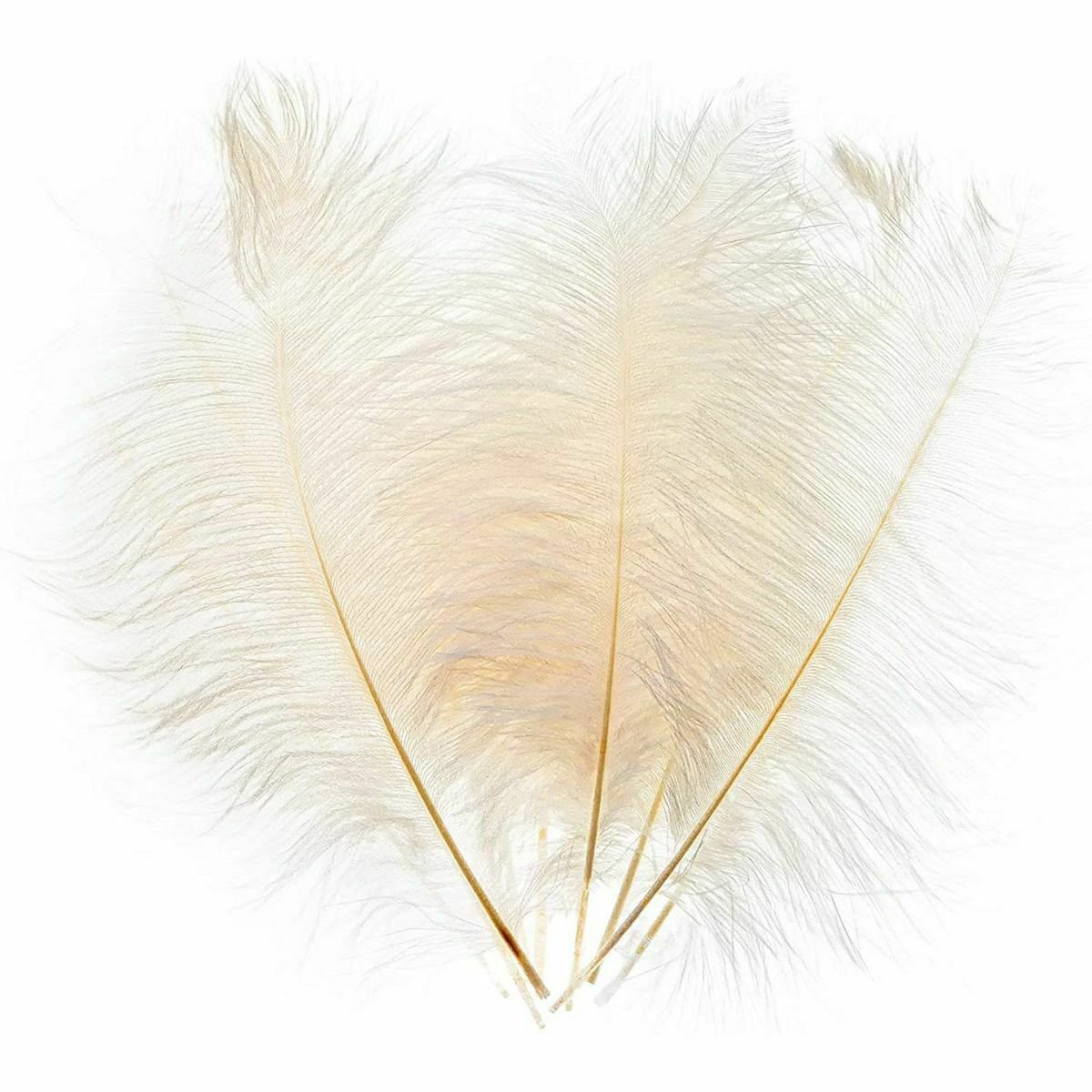 White Ostrich Feather Plumes for Crafts, Wedding, Home Decor (12-14 in, 12 Pack)