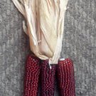 20 Mini 'BURNT ORANGE' CORN Miniature Dark Ornamental Zea Mays Vegetable Seeds