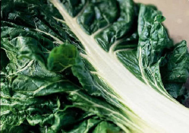 300 Fordhook GIANT SWISS CHARD (Perpetual Spinach) Beta Vulgaris Cicla Vegetable Seeds