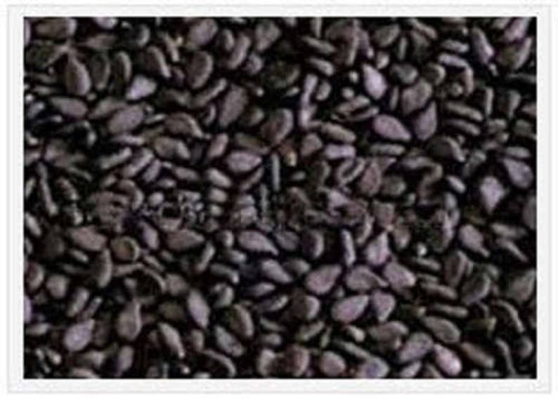1500 BLACK SESAME Sesamum Indicum Vegetable Flower Seeds