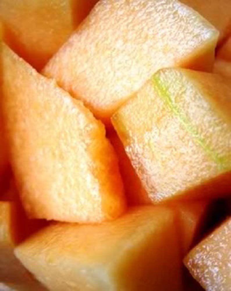 200 IROQUOIS CANTALOUPE Melon Fruit Cucumis Melo Seeds
