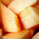 200 IROQUOIS CANTALOUPE Melon Fruit Cucumis Melo Seeds