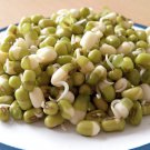 150 MUNG BEAN Moong Sprouts Golden Gram Green Vigna Radiata Vegetable Seeds