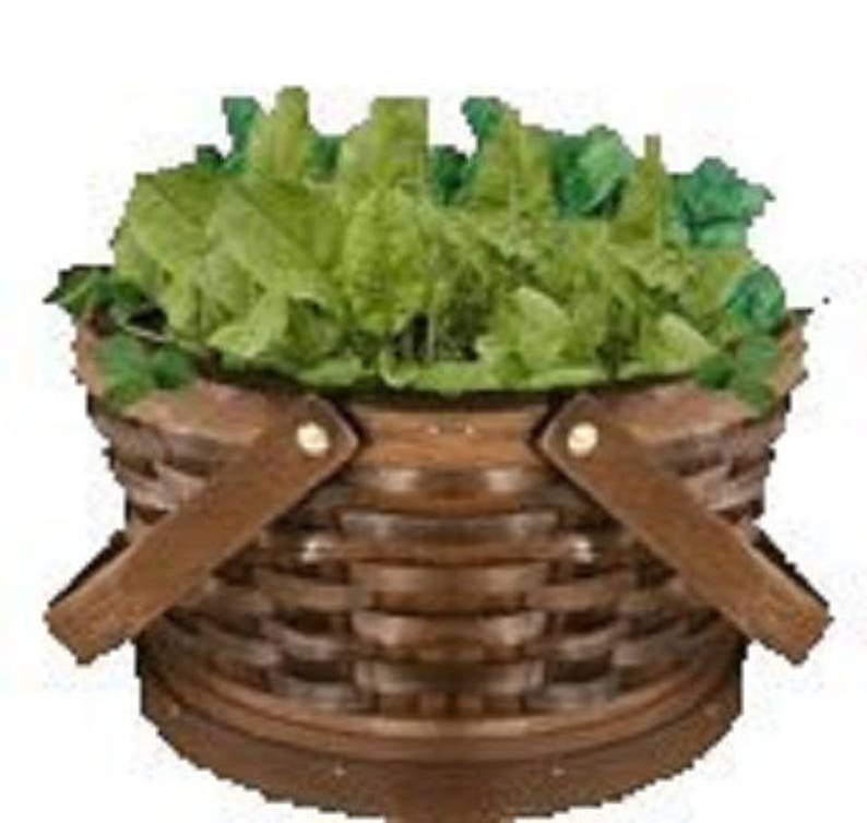 200 LARGE LEAF SORREL (Garden Sorrel / Spinach Dock / Redshank) Rumex Acetosa Vegetable Seeds
