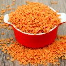100 RED LENTIL Lens Culinaris Vegetable Seeds