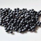 100 BLACK LENTIL Bush Lens Culinaris Vegetable Legume Sprouts Seeds