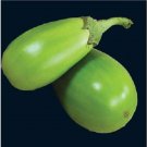 25 APPLEGREEN EGGPLANT Green Fruit / Vegetable Solanum Melongena Seeds