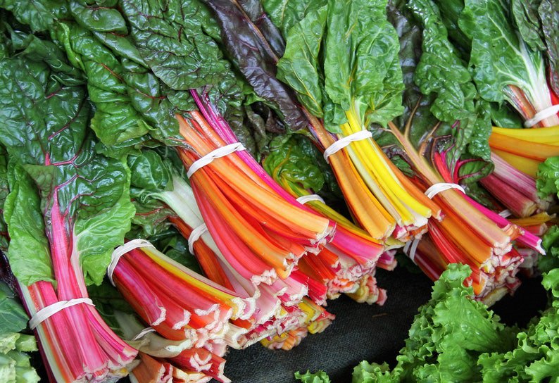 150 RAINBOW Mix SWISS CHARD Mixed Colors Beta Vulgaris Vegetable Seeds