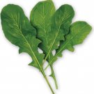 2000 ARUGULA Eruca Vesicaria Sativa Greens Vegetable Seeds