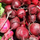 250 EARLY WONDER BEET Beta Vulgaris Vegetable Seeds