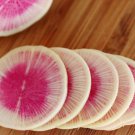 300 WATERMELON RADISH Beauty Heart Raphanus Sativus Pink White Vegetable Seeds