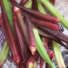 150 RED BURGUNDY OKRA Abelmoscgus Esculentus Vegetable Seeds
