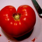 200 PINK PONDEROSA TOMATO Henderson's Lycopersicon Fruit Vegetable Seeds