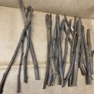 Geopride Plumcot, 3 scion cuttings for grafting