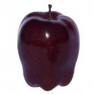 Red Delicious Apple 3 dormant scion cuttings for grafting