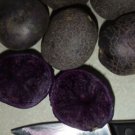 ORGANIC All Blue 5 Potato tubers, Purple Potato Solanum tuberosum Unique garden