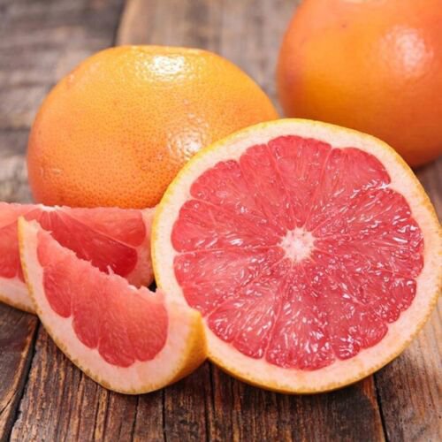 One Rio Red Grapefruit Tree, 1-2 feet tall, grafted, Can not ship to Az, Ca, Fl