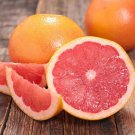 One Rio Red Grapefruit Tree, 1-2 feet tall, grafted, Can not ship to Az, Ca, Fl