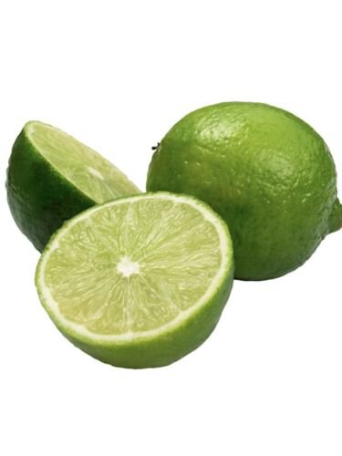 Key Lime Tree, Mexican lime, 1-2 feet tall, grafted, No Ship Az, Ca, Fl, La, Tx