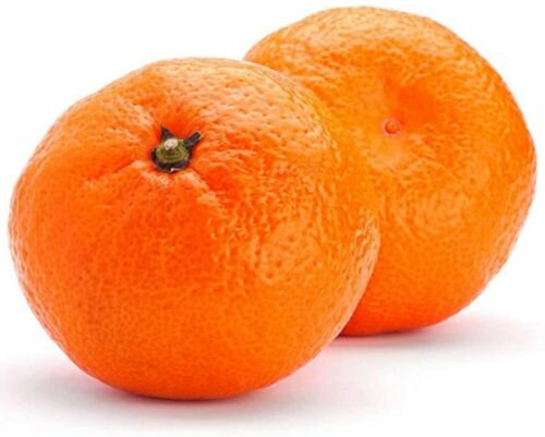 One Sunburst Tangerine Tree, 1 gallon container plant, No Ship Az, Ca, FL, La,TX