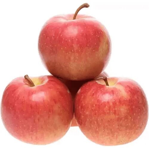Jonagold Apple tree grafted 5x5x12 inches pot size 1 year old