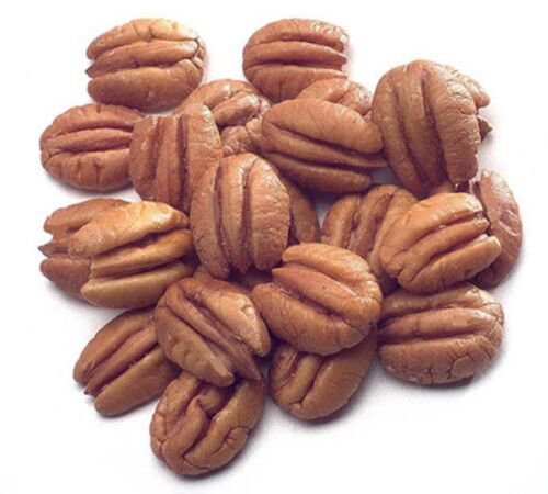 Elliot Pecan Tree 3-4 ft, Grafted, Bare Root, No Ship to CA, January-April